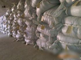 臨沂市鑫潤(rùn)藥業(yè)中藥材金銀花技術(shù)轉(zhuǎn)讓項(xiàng)目介紹